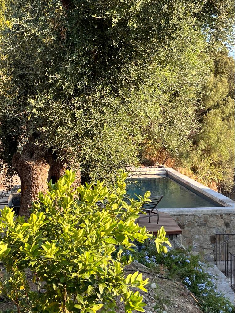 PHOTO-2022-09-11-18-27-17